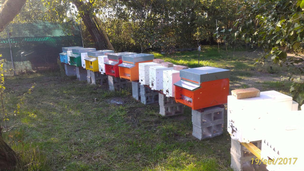 L'Ape In Corte Casa Di Campagna, Via Francigena Stanze E Colazione Vaccarizza Kültér fotó