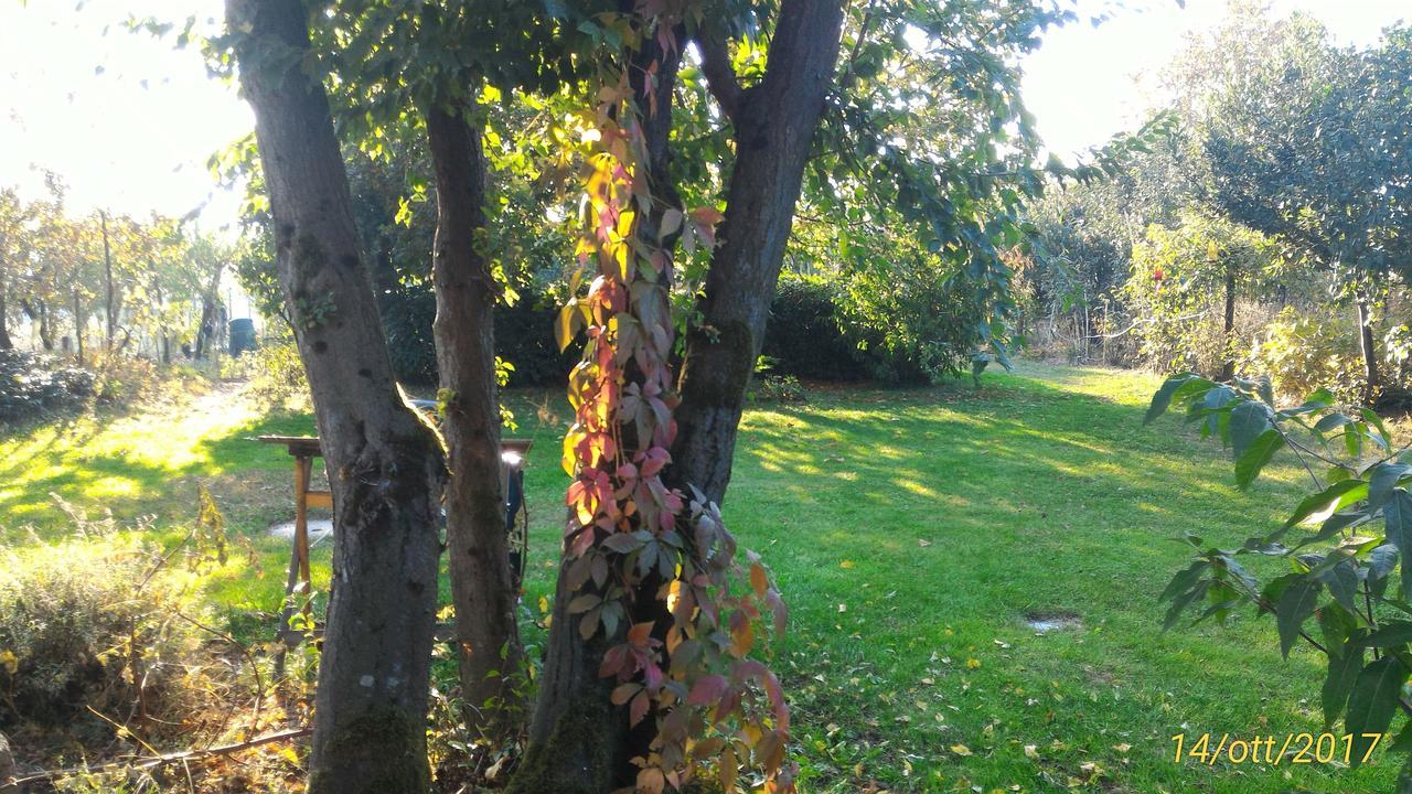 L'Ape In Corte Casa Di Campagna, Via Francigena Stanze E Colazione Vaccarizza Kültér fotó