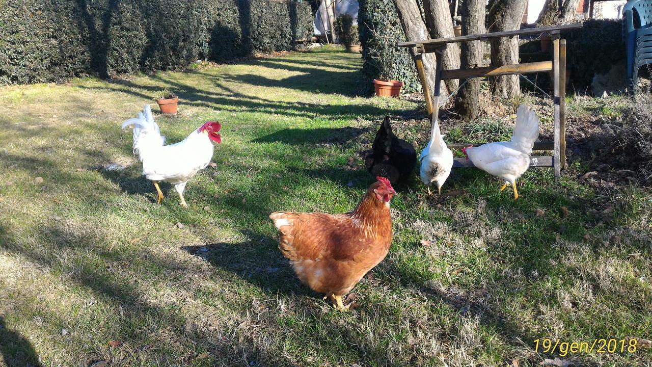 L'Ape In Corte Casa Di Campagna, Via Francigena Stanze E Colazione Vaccarizza Kültér fotó