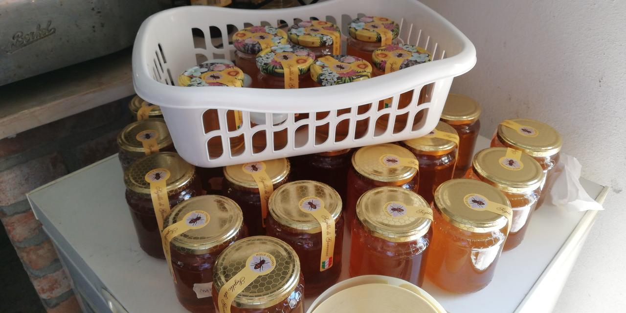 L'Ape In Corte Casa Di Campagna, Via Francigena Stanze E Colazione Vaccarizza Kültér fotó